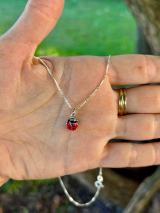 Catenina veneziana coccinella argento 925