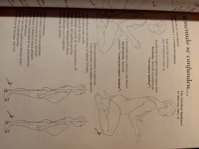 El Perine Femenino y El Parto (Spanish Edition)