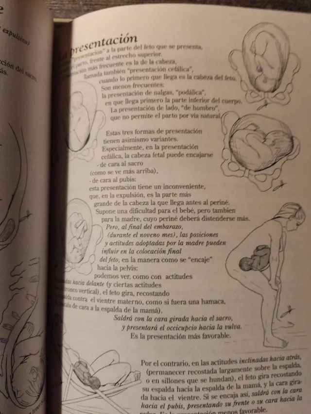 El Perine Femenino y El Parto (Spanish Edition)