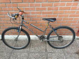 Bicicleta Montaña Antigua