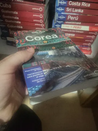Guía corea lonely