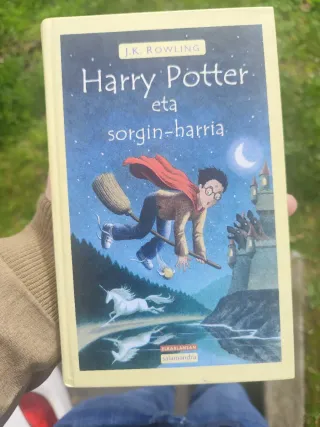 Harry potter eta sorgin harria