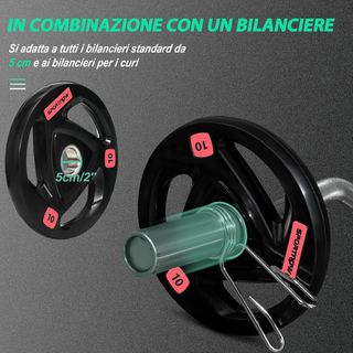 Set di 2 Dischi Pesi da 10kg in Acciaio con Rivest