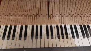 Piano negro clásico - no envios