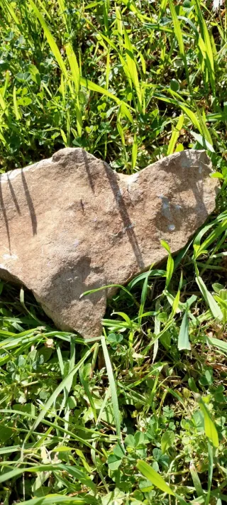 Pietra decorativa beige e marrone