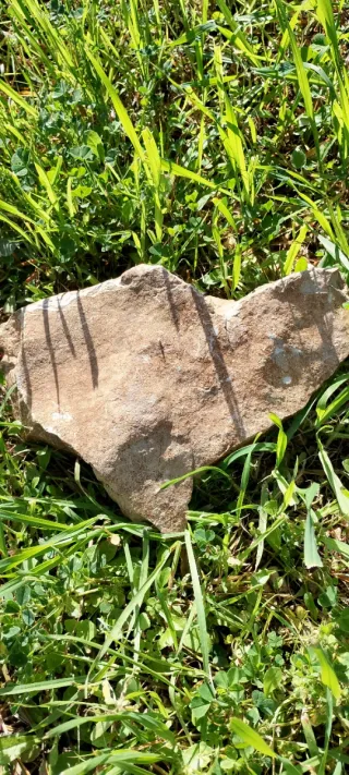 Pietra decorativa beige e marrone