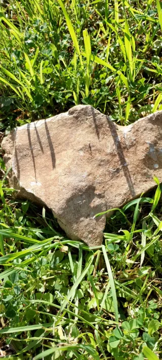 Pietra decorativa beige e marrone