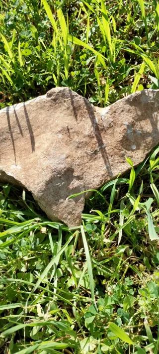 Pietra decorativa beige e marrone