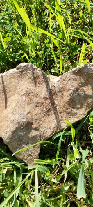 Pietra decorativa beige e marrone