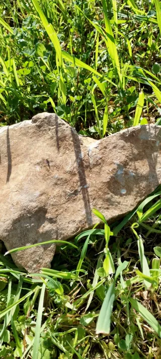 Pietra decorativa beige e marrone