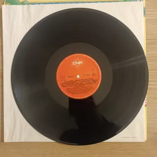 LP 1984 Vinilo The Star Sisters