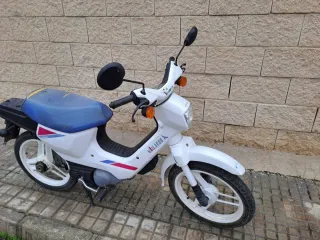 Honda Wallaroo Moped