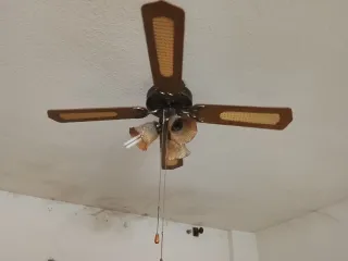 Ventilador de techo madera y cristal