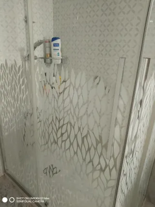 Mampara de ducha con diseño de hojas