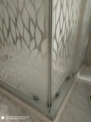 Mampara de ducha con diseño de hojas