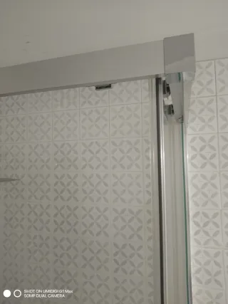 Mampara de ducha con diseño de hojas