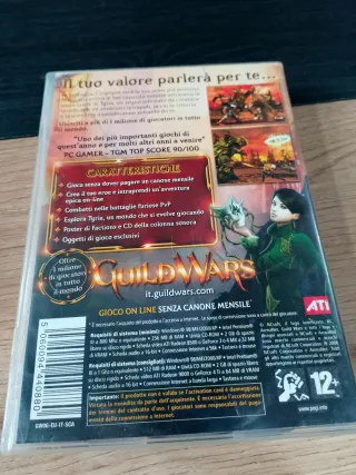 Guild Wars PC Gioco Online