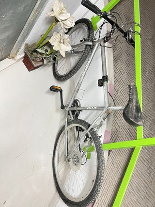 Bicicleta de montaña plateada