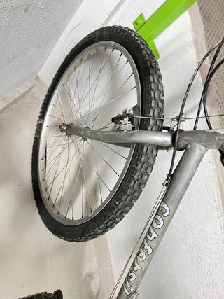 Bicicleta de montaña plateada