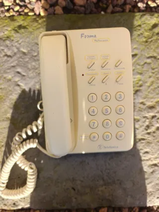 Teléfono fijo Forma Multiservicio antiguo