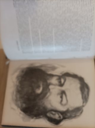 Martin fierro (Edición coleccionista)