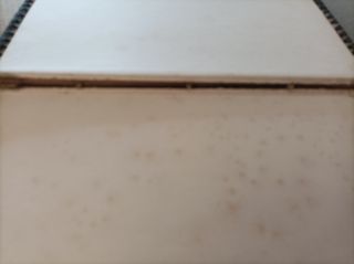 Martin fierro (Edición coleccionista)