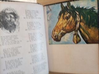 Martin fierro (Edición coleccionista)