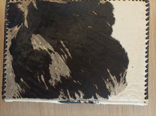 Martin fierro (Edición coleccionista)