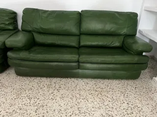 Conjunto Sofás de Piel Verdes