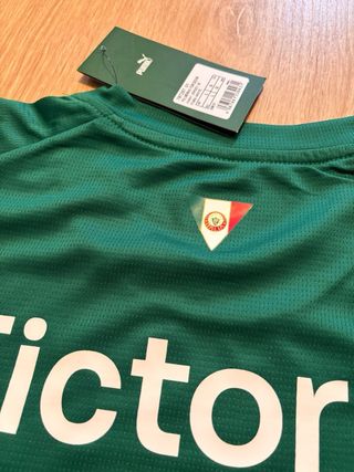 Camisa Palmeiras Puma 2026