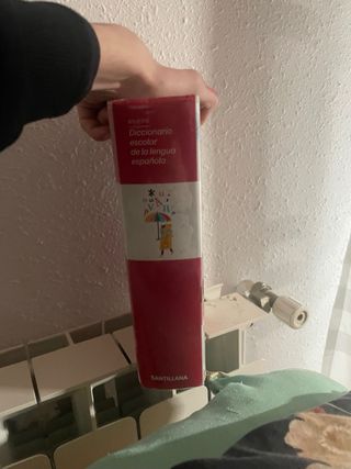 Diccionario Escolar Santillana