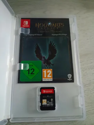 Hogwarts Legacy Nintendo Switch