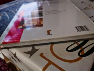 El gran libro : ideas de bricolage y decoración.