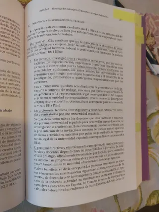 El extranjero en el Derecho español