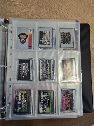 Panini Euro 2008 - Álbum de Cromos