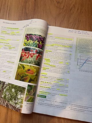 libro primero de bachiller