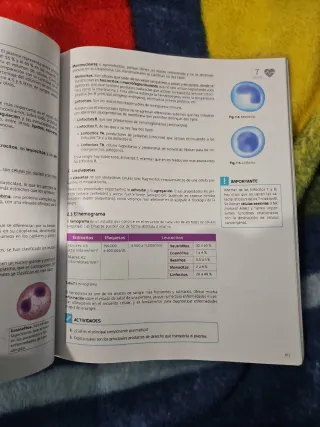 Anatomofisiología y patología básicas