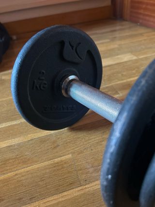 Pesa Rusa 6kg Domyos