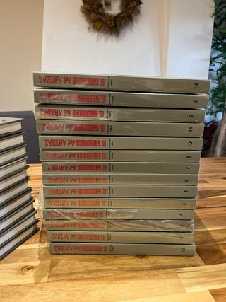 El guerrero del antifaz