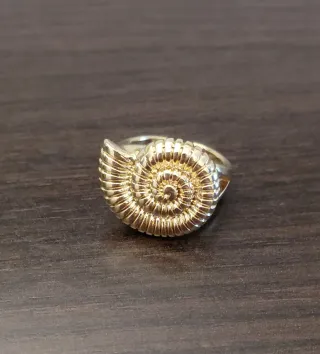 Anillo Ammonite Acero Baño Oro 18k