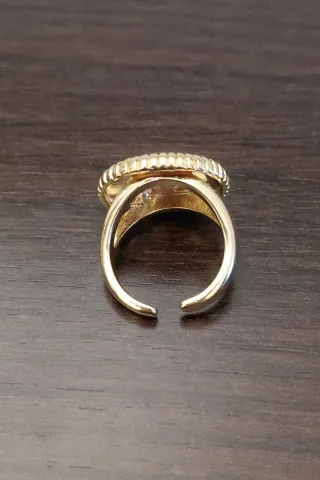 Anillo Ammonite Acero Baño Oro 18k