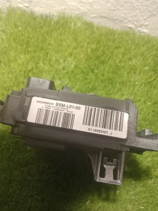 BSM L01 Caja Fusibles Siemens VDO