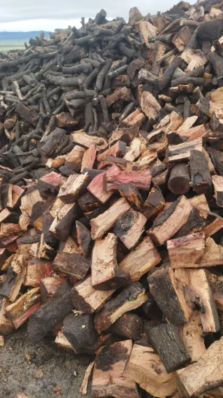 Leña de encina seca. Cargo camiones 25 T
