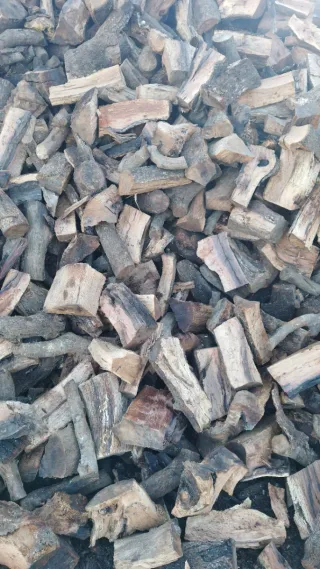 Leña de encina seca. Cargo camiones 25 T