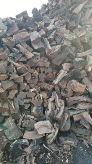 Leña de encina seca. Cargo camiones 25 T