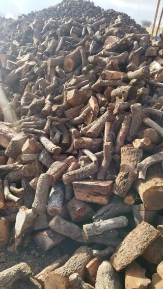 Leña de encina seca. Cargo camiones 25 T