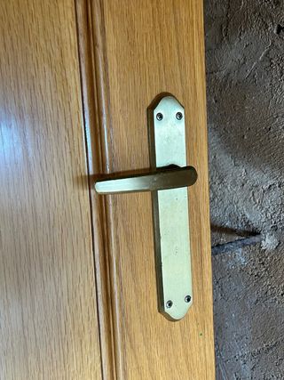 Puerta de madera interior