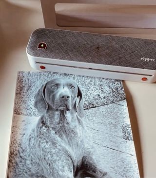 Impresora Peripage A40 Mini