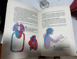 El Mundo mágico de los niños