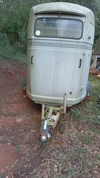 Remolque caballos